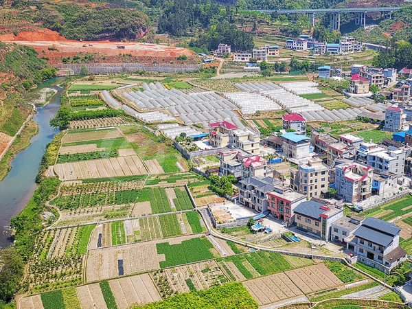 小區、城鎮、農村